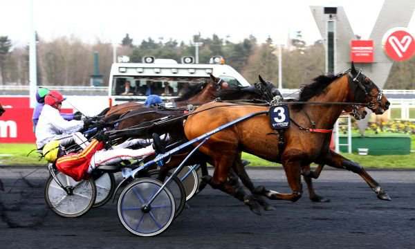 Gabriele Gelormini allongé sur son sulky Viking Madrik le mardi 10 janvier 2017 à Vincennes