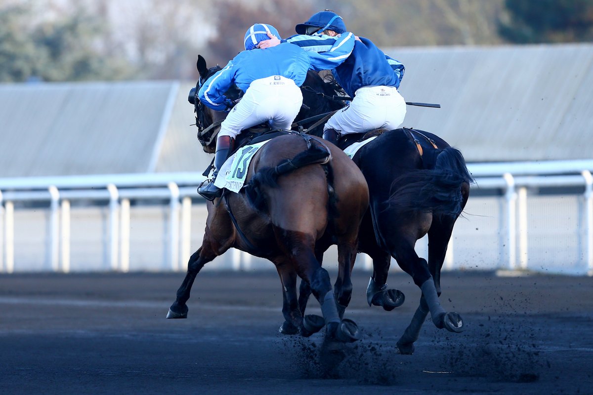 BELLISSIMA FRANCE - TORNADE DU DIGEON- Matthieu ABRIVARD- Eric RAFFIN - Prix de Cornulier 2017