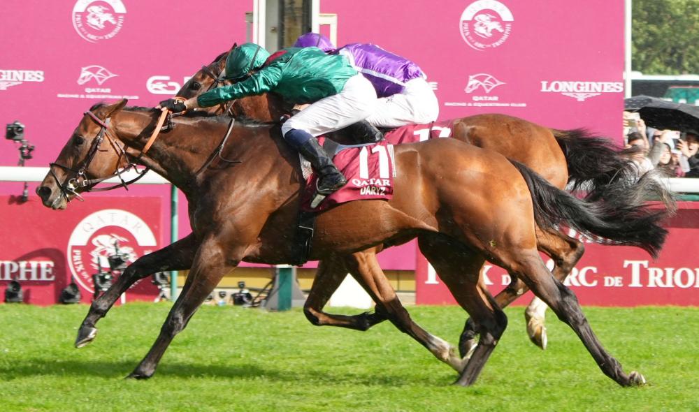 DARYZ monté par Mickael BARZALONA vainqueur du Prix de l'Arc de Triomphe 2025 à Paris Longchamp