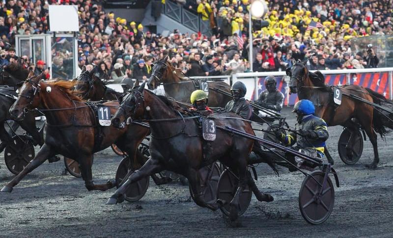 HOKKAIDO JIEL drivé par Franck NIVARD gagnant du Prix d'Amérique 2026 sur l'hippodrome de Paris Vincennes