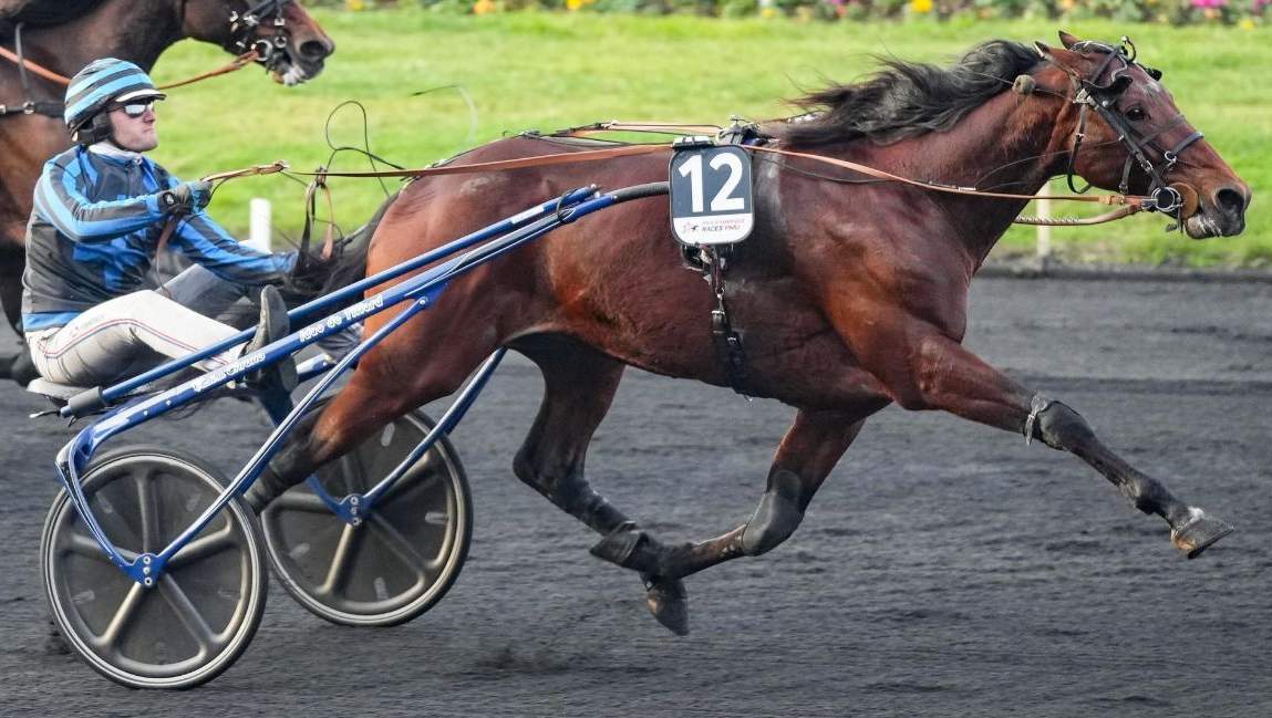 IDAO DE TILLARD drivé par Clément DUVALDESTIN) gagnant du Prix d'Amérique 2024 sur l'hippodrome de Paris Vincennes