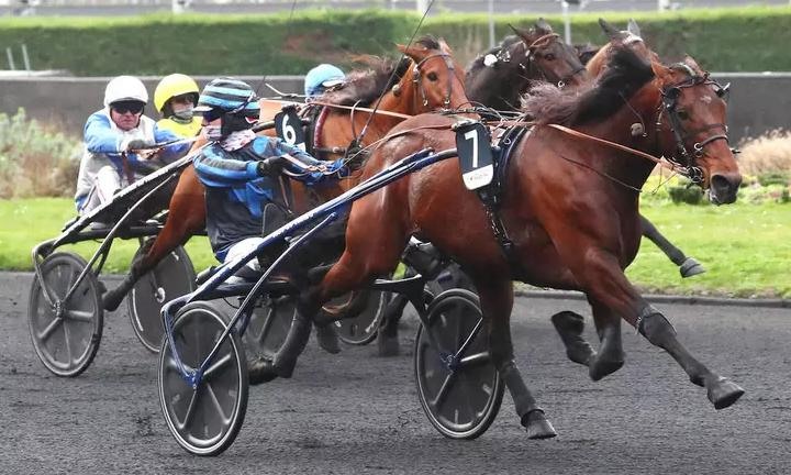 IDAO DE TILLARD drivé par Clément DUVALDESTIN) gagnant du Prix de France 2024 sur l'hippodrome de Paris Vincennes