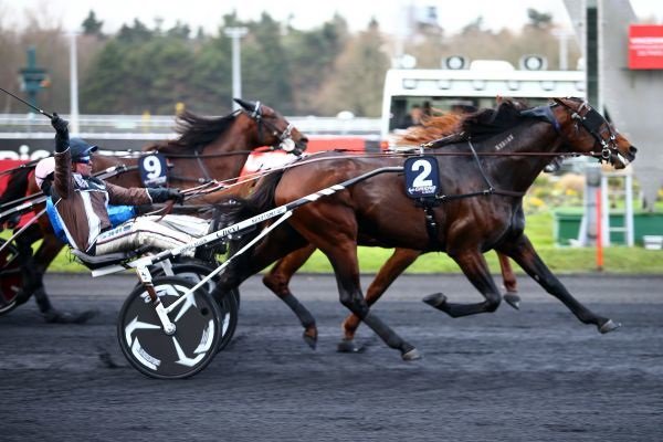 IN VAIN SUND vainqueur du Prix de Croix 2017 à Vincennes