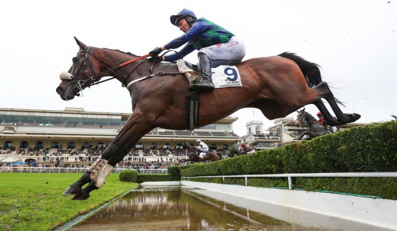 SEL JEM monté par Johnny Charron vainqueur du Grand Steeple-Chase de Paris 2026 à Auteuil